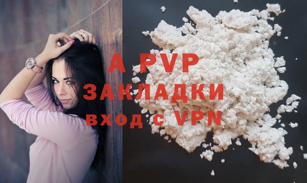 spice Аркадак